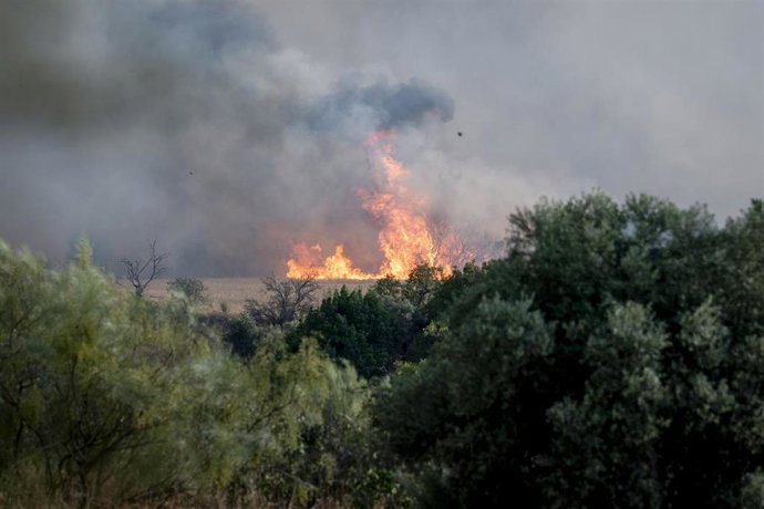Archivo - Vista del incendio, a 17 de julio de 2025, en Navalcarnero, Madrid (España). Un incendio originado hoy en la localidad toledana de Méntrida, limítrofe con la Comunidad de Madrid, ha pasado a situación operativa Nivel 2 por posible afección a bie