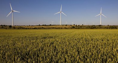 Energía y Medio Ambiente