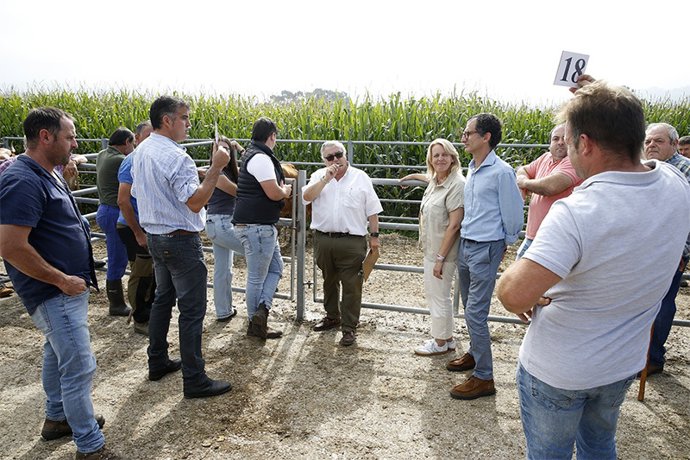 La consejera de Ganadería, María Jesús Susinos, en la subasta de tudanca y monchina