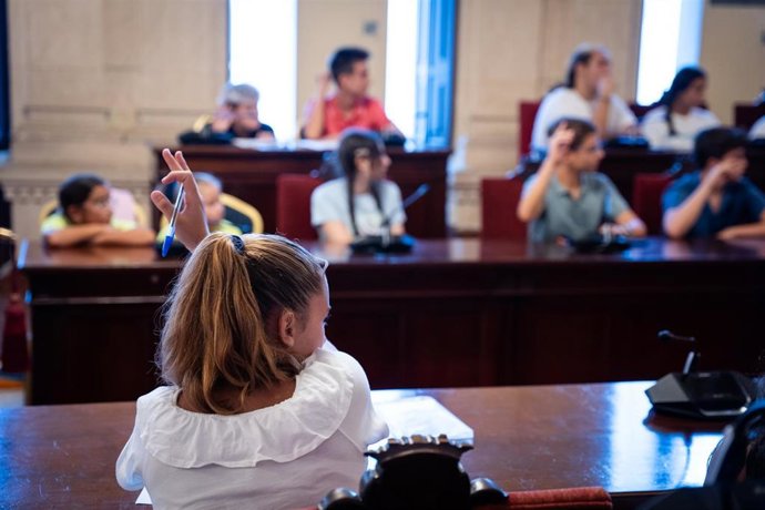 El Ayuntamiento de Málaga celebra una sesión del Consejo Sectorial de Infancia y Adolescencia, el órgano municipal que canaliza la participación de la ciudadanía de menor edad en la ciudad.