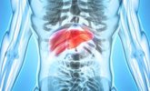 Foto: Una investigación del CSIC propone una nueva vía para tratar un cáncer de hígado muy agresivo
