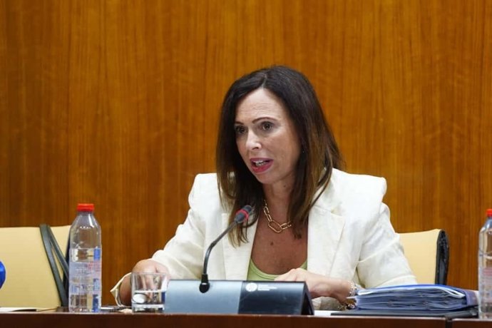 Rocío Díaz, durante su intervención en la comisión parlamentaria.