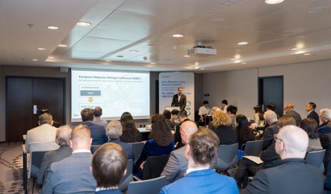 Comunicados Internacional