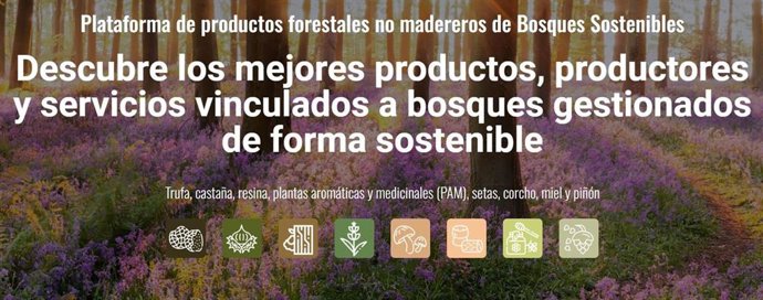 El proyecto 'IMFOREST' lanza una plataforma para la promoción de productos forestales no madereros
