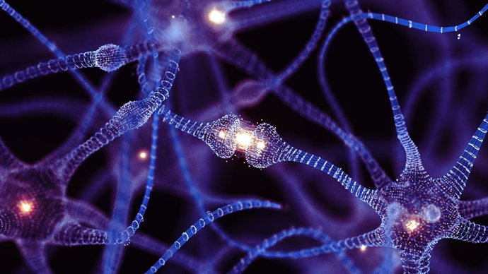 Archivo - Arquivo - Uma rede neural artificial é um grupo interconectado de nós, semelhante à vasta rede de neurônios em um cérebro biológico.