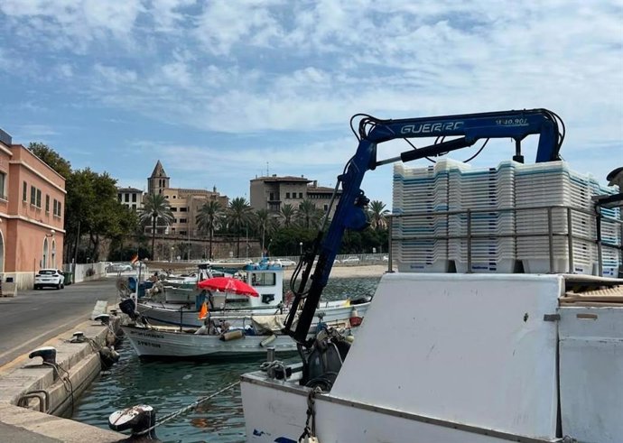 El Govern saca a información pública el nuevo Decreto de regulación de las cofradías de pescadores y sus federaciones.