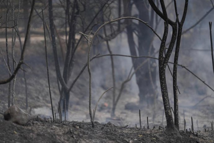 Archivo - Imagen de recurso de un incendio