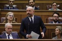 De los Santos (PP) sobre "fallos" en seguimiento a maltratadores: "Son las pulseras del miedo, no podemos justificarlo"