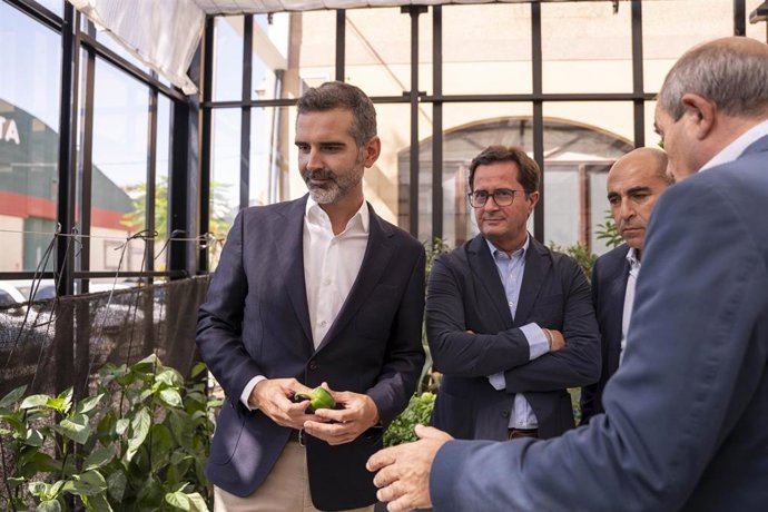 Vídeo de la noticia