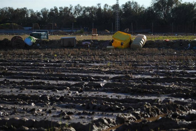 Archivo - Arrozales arrasados tras la Dana