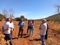 Junta aborda en Los Vélez (Almería) las plagas del almendro por gusano cabezudo y avispilla con pérdidas de hasta el 80%