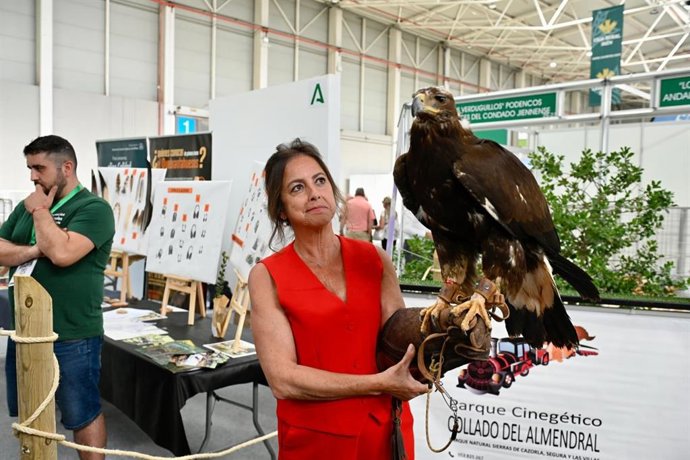Vídeo de la noticia