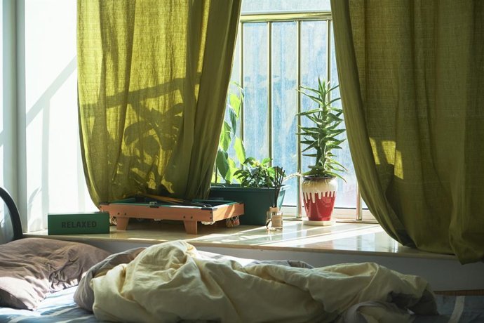 "Dormir Con Plantas Es Malo": Expertos Aclaran Por Qué No Te Roban Oxígeno Ni Son Peligrosas