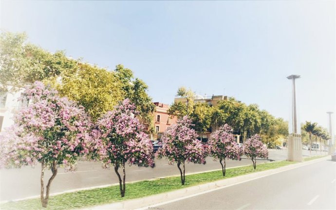 Recreación del proyecto de mediana del Ayuntamiento en la ciudad.