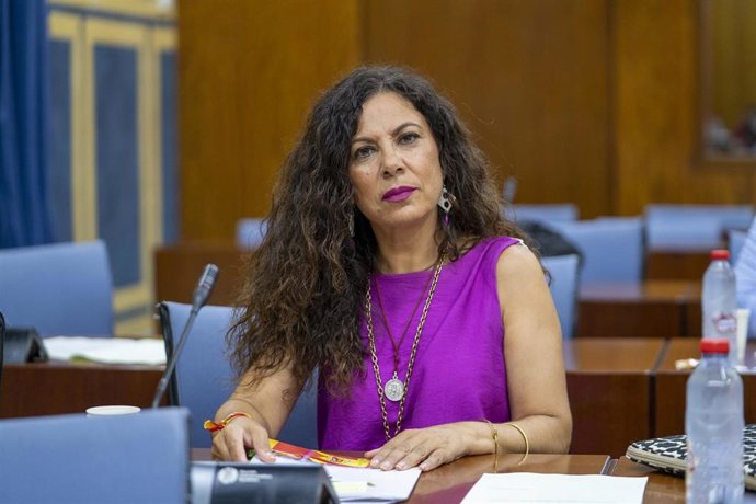 Diputada del GP Vox por Sevilla en el Parlamento de Andalucía, Ana Ruíz.