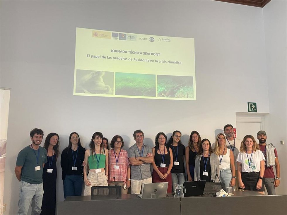 El IEO-CSIC propone estrategias viables para la preservación de las praderas de Posidonia oceanica.