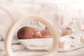 Foto: GETTY IMAGES/ISTOCKPHOTO / ONDROOO - Archivo