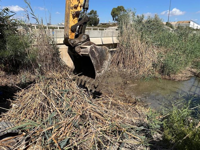 Treballs d'esbrosse de barrancs a Alacant
