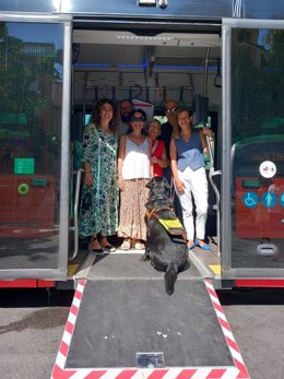 El Govern implementa un nuevo sistema de megafonía en los buses TIB para personas con discapacidad visual