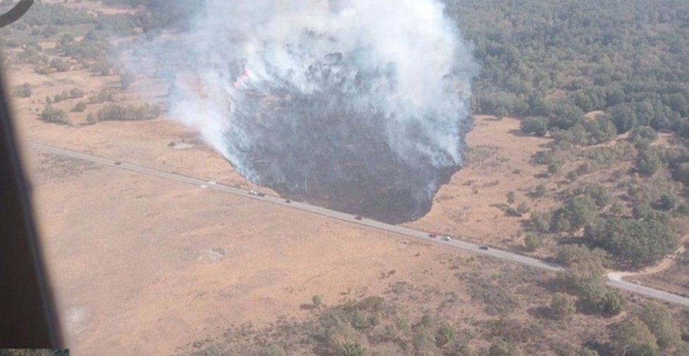 Declarado un incendio de gravedad 1 en Lanseros (Zamora) al peligrar masas arboladas de más de 30 hectáreas