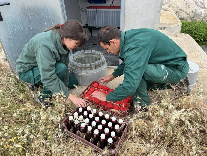 El CITA pone en marcha cuatro nuevos proyectos de Generación de Conocimiento
