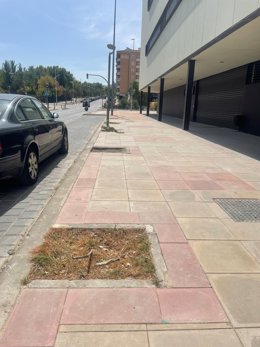 Entorno del Conservatorio Superior de Música de Jaén.