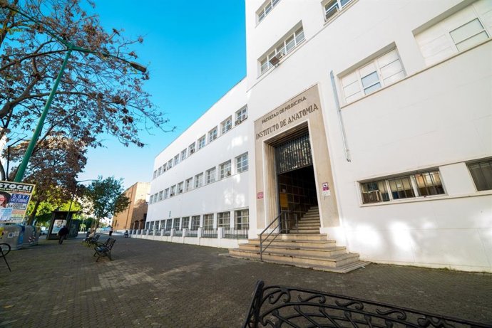 Archivo - Fachada de la Facultad de Medicina de la Universidad de Sevilla.