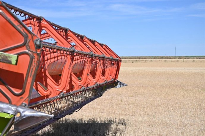 Archivo - Imagen de archivo