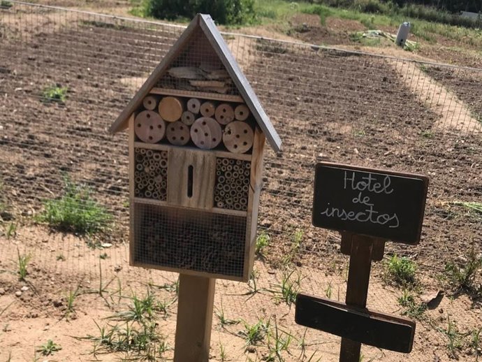 Programa 'Patios vivos'.