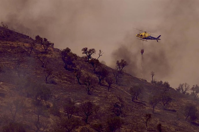 Medios aéreos combaten un incendio declarado en la zona de Monte Coronado en Málaga. A 1 de septiembre de 2025, en Málaga (Andalucía, España). 