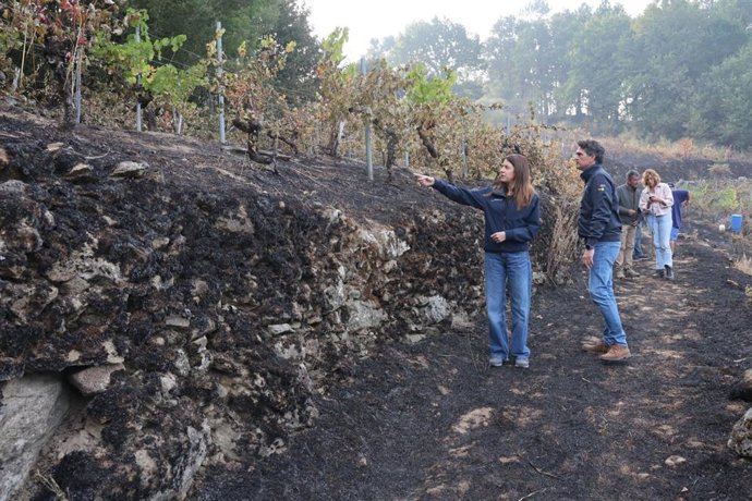 A Ministra Regional do Meio Ambiente Rural, María José Gómez, visita as áreas afetadas pelo incêndio em Pantón.