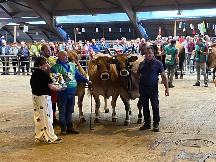 La concejala de Festejos, Mercados y Bienestar Animal, Ana Nosti, entregando una de las calificaciones del concurso de vacuno.