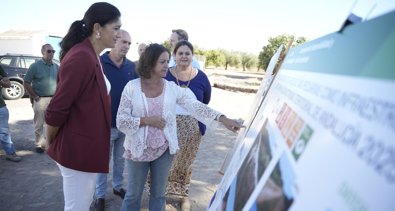 Es Andalucía - Sevilla