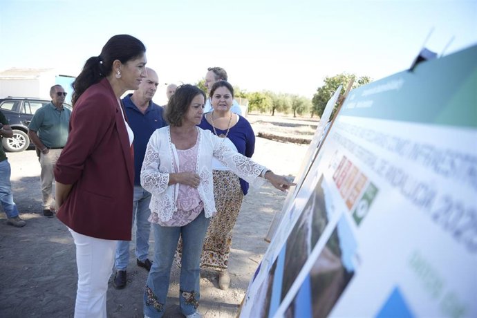 Vídeo de la noticia