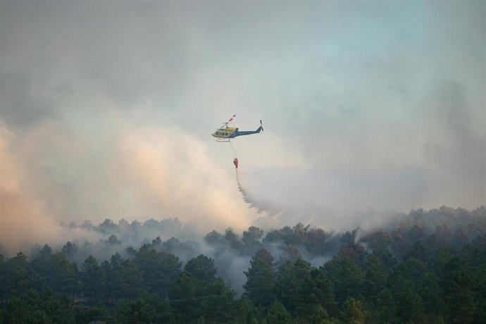 Archivo - Varios efectivos aéreos actúan durante un incendio forestal, a 17 de agosto de 2024, en Trabazos, Zamora, Castilla y León (España). 