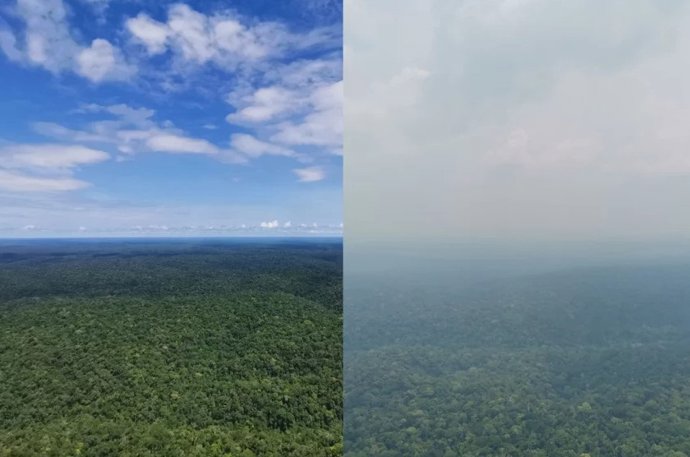 Uma vista da torre de pesquisa Atto da floresta amazônica em um dia claro e através de uma densa nuvem de fumaça em 2023, quando uma seca extraordinária prevaleceu e vários incêndios eclodiram.
