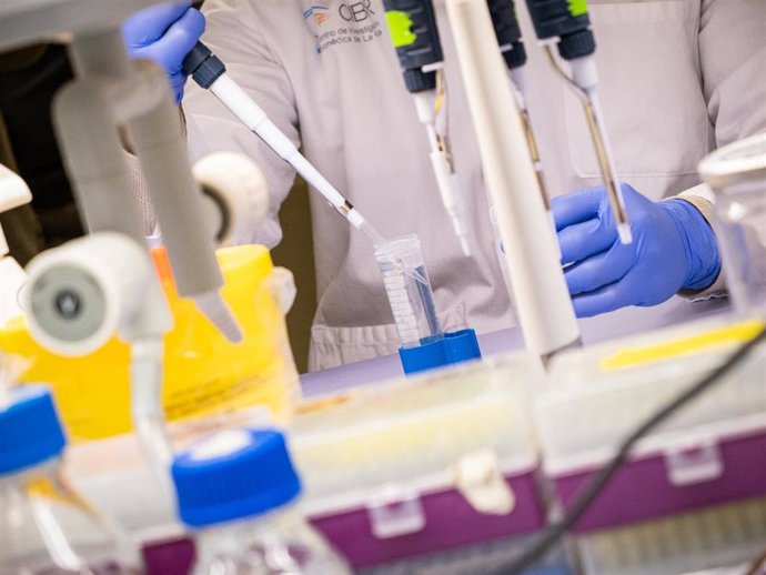 Archivo - La investigación valida una nueva estrategia terapéutica