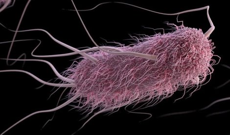 Es Andalucía - Granada