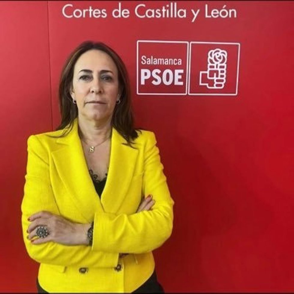 La procudarora socialista por Salamanca, Rosa Rubio.