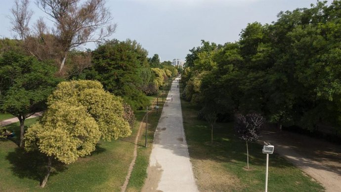 Archivo - Imagen de archivo de un tramo del Jardín del Túria, en la ciudad de València. 