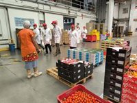 La Junta respalda con 120 millones a productores hortofrutícolas para invertir en modernización de sus explotaciones