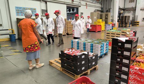 Es Andalucía - Granada