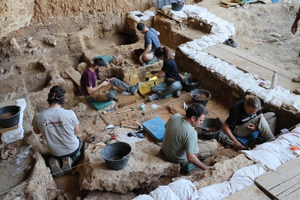 Los caballos más antiguos del linaje ibérico salen a la luz en las excavaciones de La Malia en Tamajón.