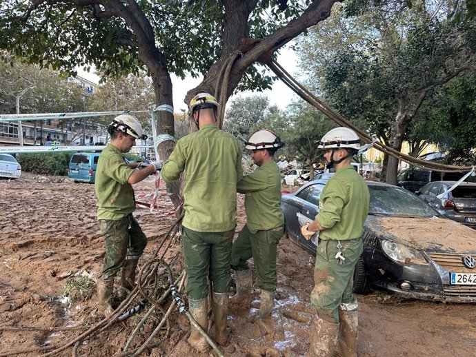 Archivo - Arxiu - Personal d'Iberdrola treballa en reparacions en la zona afectada per la dana