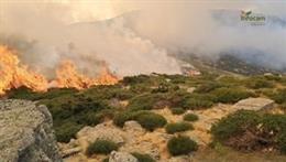 Incendio en Peñalba de la Sierra.