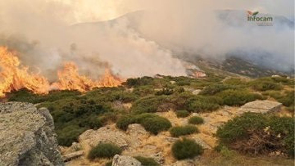Incendio en Peñalba de la Sierra.