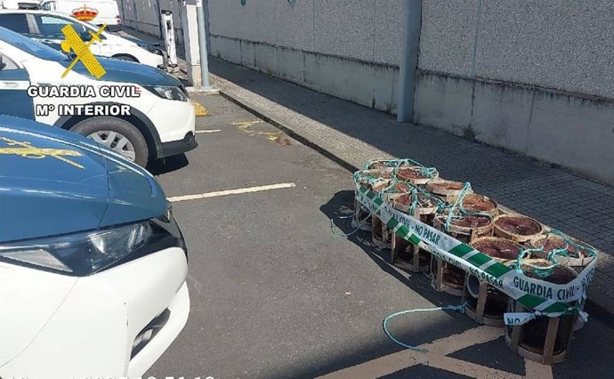 Nasas sustraídas en el muelle de Oza, en A Coruña.