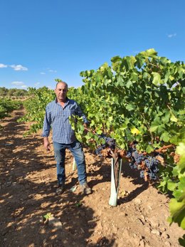 El presidente de la Denominación de Origen Mondéjar, Enrique Segovia.