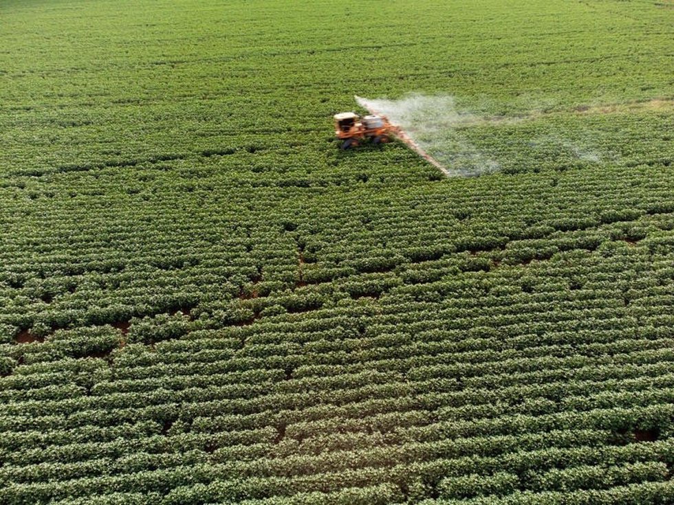 España Es El Tercer Mayor Exportador De Plaguicidas Prohibidos En La Unión Europea (UE), Por Detrás De Alemania Y Bélgica, Según Greenpeace, Que Señala Que España Aprobó En 2024 La Exportación De Casi 12.900 Toneladas De Plaguicidas Prohibidos En La UE