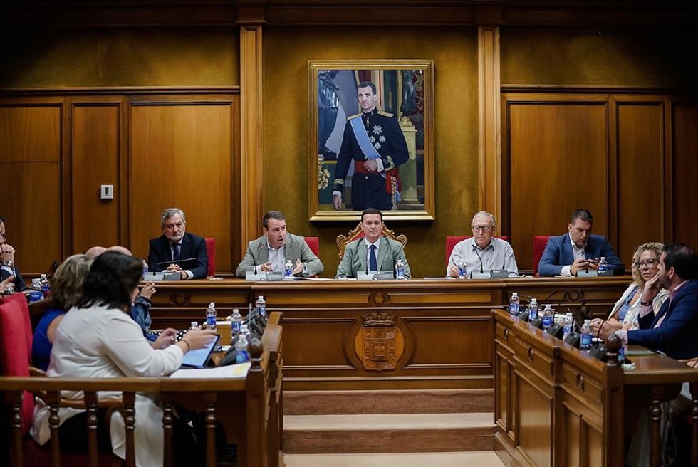 Sesión extraordinaria del pleno de la Diputación de Almería.